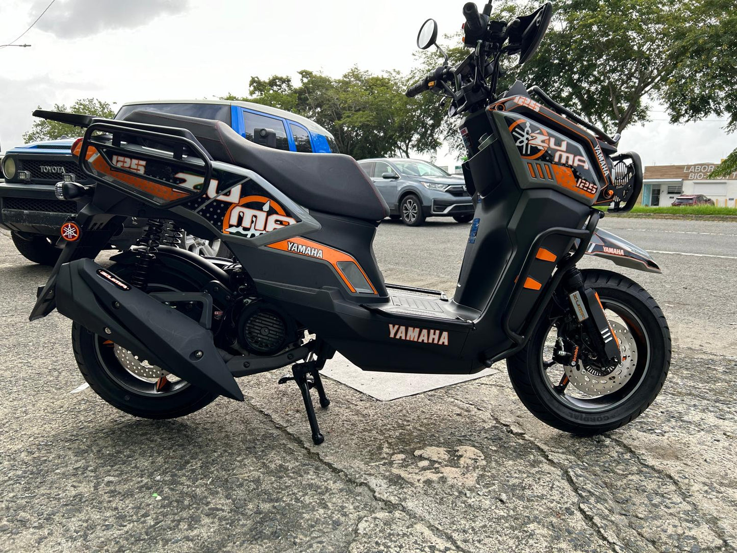 ZUMA Custom Full Set Gel Graphics