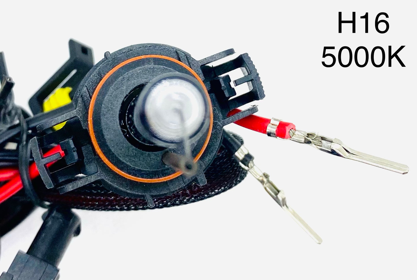 HID Bulb Headlights (2 pcs)