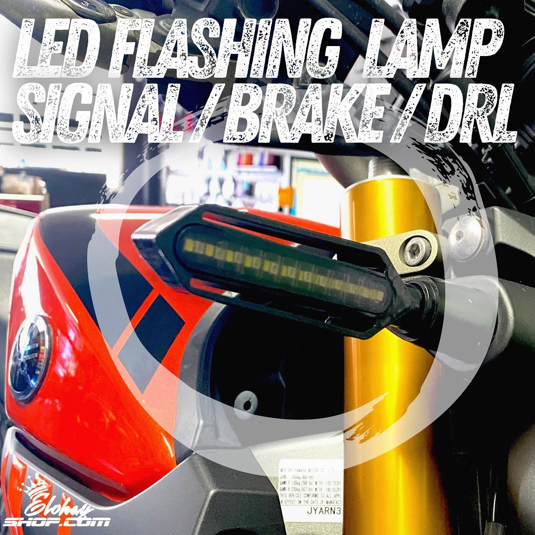 Motorcycle LED Flashing Signal/Brake/DRL