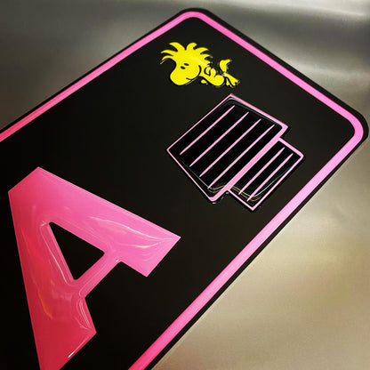 License Plate Customized