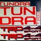 Tundra 2022 Gel Sticker for Tailgate  Insert Letters