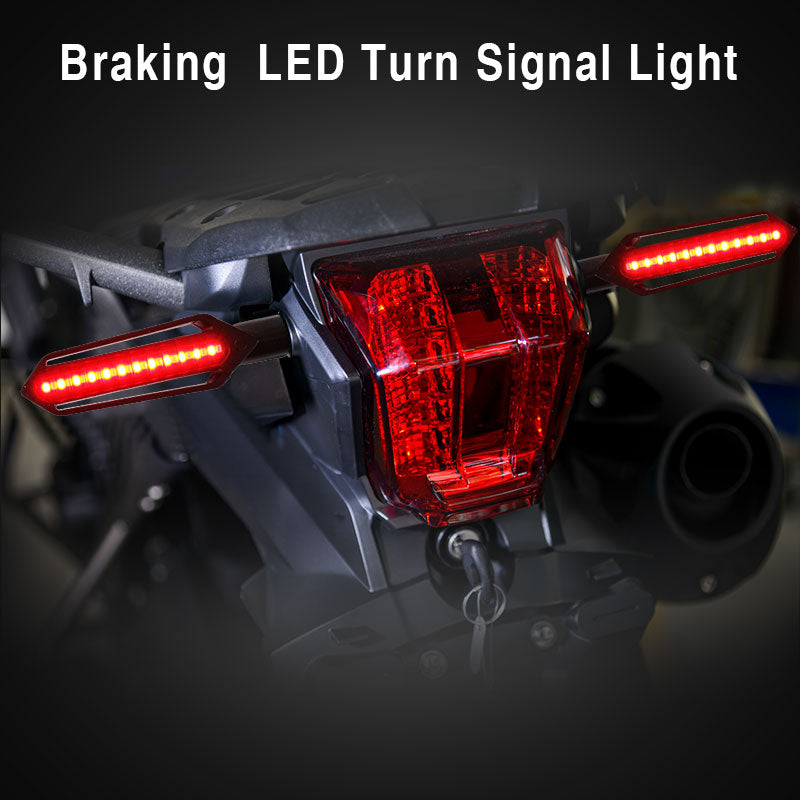 Motorcycle LED Flashing Signal/Brake/DRL